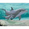 ZUTY Maľovanie podľa čísel - DELFÍNY (ROBERT JOHNSON) Rámovanie: bez rámu a bez vypnutia plátna, Rozmer: 40x50 cm ZUTY Maľovanie podľa čísel - DELFÍNY (ROBERT JOHNSON) Rámovanie: bez rámu a bez vypnutia plátna, Rozmer: 40x50 cm