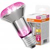 LED žiarovka pre rastliny R63 reflektor E27 7,5W = 15W 140lm teplá biela 100° STAR GROW Osram LED žiarovka pre rastliny R63 reflektor E27 7,5W = 15W 140lm teplá biela 100° STAR GROW Osram