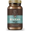 Myrobalan BioXan prirodný upokojujúci bylinný komplex 60 kapsúl Myrobalan BioXan prirodný upokojujúci bylinný komplex 60 kapsúl