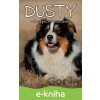 Dusty: Dusty 5: Nebezpečné prázdniny - Jan Andersen