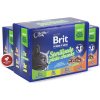 Brit Premium Cat Meat Sterilised mix v omáčke Multi 1200 g 12 x 100 g Brit Premium Cat Meat Sterilised mix v omáčke Multi 1200 g 12 x 100 g