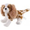 Kavalier King Charles španiel 26 cm Kavalier King Charles španiel 26 cm