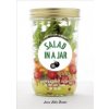 Salad in a Jar (Anna Helm Baxter)(Brožovaná) Salad in a Jar (Anna Helm Baxter)(Brožovaná)