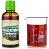 Húsenica čínska (cordyceps) kvapky (tinktúra) 50 ml Húsenica čínska (cordyceps) kvapky (tinktúra) 50 ml