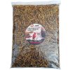 Apetit - BLACK SOLIDER FLY LARVEA 500g Apetit - BLACK SOLIDER FLY LARVEA 500g