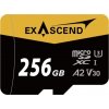 Karta ExAscend Catalyst MicroSDXC 256 GB UHS-I/U3 A2 V30 (EX256GUSDU1-AD) Karta ExAscend Catalyst MicroSDXC 256 GB UHS-I/U3 A2 V30 (EX256GUSDU1-AD)