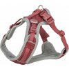 Trixie Postroj pro psy Premium FlexMesh Sangria L: 63–92 cm/25 mm vhodný pro mopsy a buldoky Trixie Postroj pro psy Premium FlexMesh Sangria L: 63–92 cm/25 mm vhodný pro mopsy a buldoky