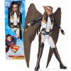 DC COMICS HAWKGIRL SUPERMAN VEĽKÁ FIGÚRKA BÁBIKA 30 CM DC COMICS HAWKGIRL SUPERMAN VEĽKÁ FIGÚRKA BÁBIKA 30 CM