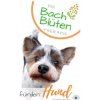 Bach- Blüten Therapie Für Den Hund: Die 38 Bachblüten in Ihrer Wirkung Und ALS Therapie Begleitung Für Ihren Hund (Klaudia Skodnik)(Brožovaná) Bach- Blüten Therapie Für Den Hund: Die 38 Bachblüten in Ihrer Wirkung Und ALS Therapie Begleitung Für Ihren Hund (Klaudia Skodnik)(Brožovaná)