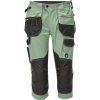 Cerva Pánske pracovné 3/4 nohavice DAYBORO - Machovo zelená | 50 Cerva Pánske pracovné 3/4 nohavice DAYBORO - Machovo zelená | 50