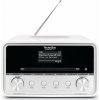 Technisat DigitRadio 586