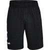 Pánske šortky Under Armour L Pánske šortky Under Armour L