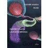 Zápisky Malta Lauridse Brigga - Rainer Maria Rilke Zápisky Malta Lauridse Brigga - Rainer Maria Rilke