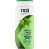 DIXI ŠAMPÓN BREZOVÝ PRE RAST VLASOV 400 ML DIXI ŠAMPÓN BREZOVÝ PRE RAST VLASOV 400 ML