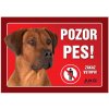 Juko Plastová tabuľa Pozor Pes Rhodéský Ridgeback 21 x 14,7 cm Juko Plastová tabuľa Pozor Pes Rhodéský Ridgeback 21 x 14,7 cm