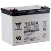 Yuasa 12V 36Ah M5 REC36-12 Yuasa 12V 36Ah M5 REC36-12