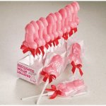 Succulent Willie Lollipop - Lízatko Willie
