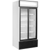 TEFCOLD FSC 891 S