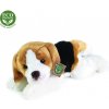 Rappa Plyšový pes Bígl ležiaci 30 cm ECO-FRIENDLY Rappa Plyšový pes Bígl ležiaci 30 cm ECO-FRIENDLY