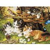 Norimpex diamantové maľovanie Mačacia rodinka 30 x 40 cm