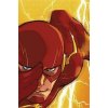 Flash TP Vol 1 Rebirth Flash TP Vol 1 Rebirth