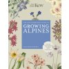 KEW GARDENERS GT GROWING ALPINES KEW GARDENERS GT GROWING ALPINES