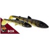 Westin Bullteez Shadtail 18cm 53gr Gold Rush