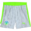Puma Manchester City kraťasy pánske (2025-2026) tretie Puma Manchester City kraťasy pánske (2025-2026) tretie