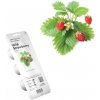 Smart Garden Lesné jahody PCW-011 Smart Garden Lesné jahody PCW-011