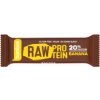 Bombus Raw Protein 20% 50g Cocoa Beans