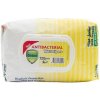 Antibakteriálne vlhčené utierky Fresh Detox Lemon na ruky a povrchy (1 Antibakteriálne vlhčené utierky Fresh Detox Lemon na ruky a povrchy (1