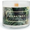 Artman candles Monstera Small Glass Green 400 g – sviečka v skle Artman candles Monstera Small Glass Green 400 g – sviečka v skle