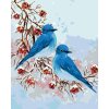 zuty Zuty - Maľovanie Podľa Čísel - Dva Modrí Vtáčkové, 80X100 Cm, Plátno (8596530135302) zuty Zuty - Maľovanie Podľa Čísel - Dva Modrí Vtáčkové, 80X100 Cm, Plátno (8596530135302)
