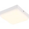 Globo 12388-8W LED prisadené stropné svietidlo MATTHEW | 8W integrovaný LED zdroj | 600lm | 4000K Globo 12388-8W LED prisadené stropné svietidlo MATTHEW | 8W integrovaný LED zdroj | 600lm | 4000K