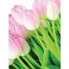 Fototapeta panel - PL0881 - Tulipány 206cm x 275cm - Vliesová fototapeta Fototapeta panel - PL0881 - Tulipány 206cm x 275cm - Vliesová fototapeta
