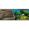 Europet Bernina Photo Decor Sea + Rock 120 x 50 cm Europet Bernina Photo Decor Sea + Rock 120 x 50 cm