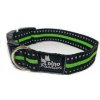 Obojok DINOFASHION reflexné zelený 45 / 2,5cm Obojok DINOFASHION reflexné zelený 45 / 2,5cm
