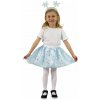 Detský kostým zimná víla tutu sukne Detský kostým zimná víla tutu sukne