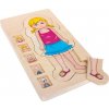 Drevené anatomické puzzle pre malé nohy Drevené anatomické puzzle pre malé nohy