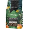 Lechuza Cactuspon pre kaktusy a sukulenty 3 l