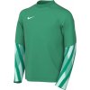 Nike | Dri-FIT Park V Long Sleeve Goalkeeper Kids | zelená| XL(158-170cm) Nike | Dri-FIT Park V Long Sleeve Goalkeeper Kids | zelená| XL(158-170cm)