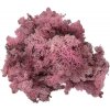 Stabilizovaný sobí lišajník - mach 250g - ružový Stabilizovaný sobí lišajník - mach 250g - ružový