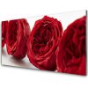 Sklenený obklad Do kuchyne Ruže kvety rastlina 100x50 cm Sklenený obklad Do kuchyne Ruže kvety rastlina 100x50 cm