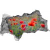 Samolepiaca diera na stenu Poľné kvety 95x73 cm Samolepiaca diera na stenu Poľné kvety 95x73 cm