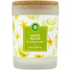 Air Wick Essential Oils White Melon & Ylang Ylang 185 g