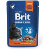 Brit Premium Cat Pouches Salmon for Sterilised 100g Brit Premium Cat Pouches Salmon for Sterilised 100g