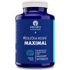 Praslička roľná Maximal 90 kapsúl