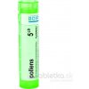 Pollens gra.1 x 4 g 5CH Pollens gra.1 x 4 g 5CH