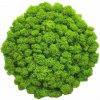 Machový obraz Kruh bezrámový 22cm Machový obraz Kruh bezrámový 22cm