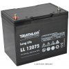 TRIATHLON LL12065 12V 65Ah